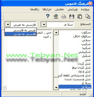 معنی لغت عربی به فارسی آنلاین
