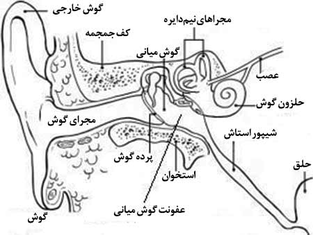 عفونت گوش داخلی علایم
