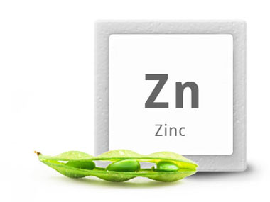 کمبود zinc در بدن
