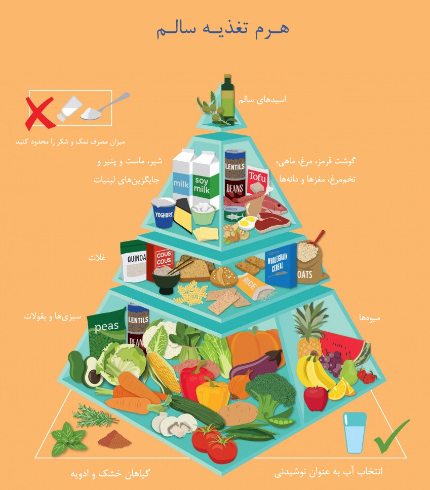 رژیم غذایی سالم شامل چیست
