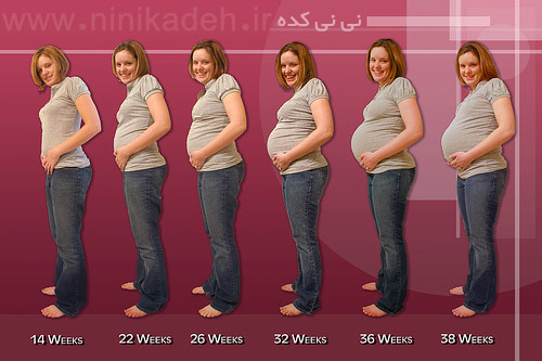 تغذیه ماه چهارم بارداری نی نی سایت
