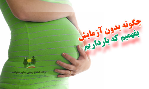 راه های تشخیص بارداری در خانه
