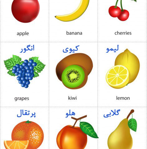 نام انواع میوه ها به زبان فارسی
