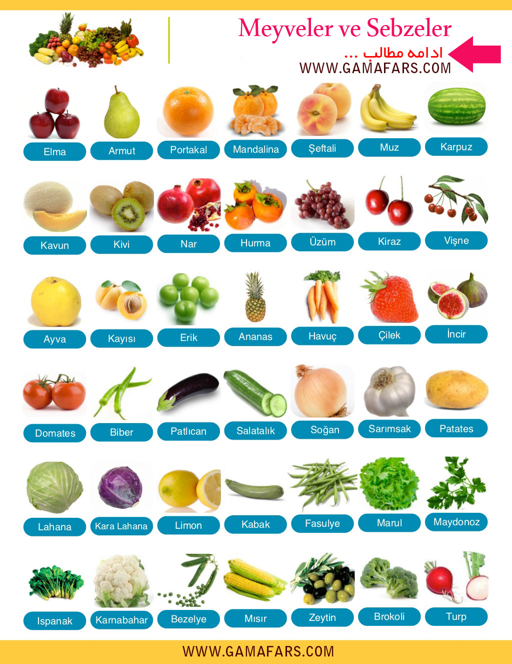 آموزش میوه ها و سبزیجات به انگلیسی
