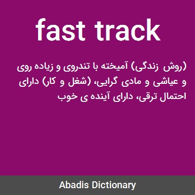 dictionary meaning of fast track
