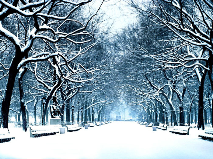تصاویری زیبا از فصل زمستان