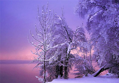 تصاویر زیبای فصل زمستان