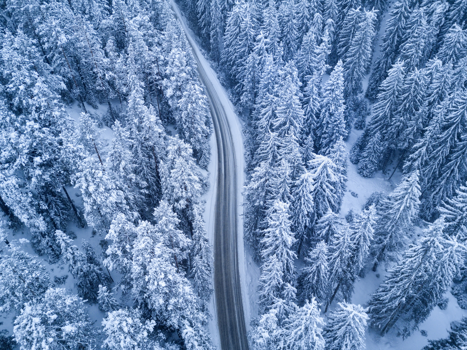 عکس های زیبا از فصل زمستان
