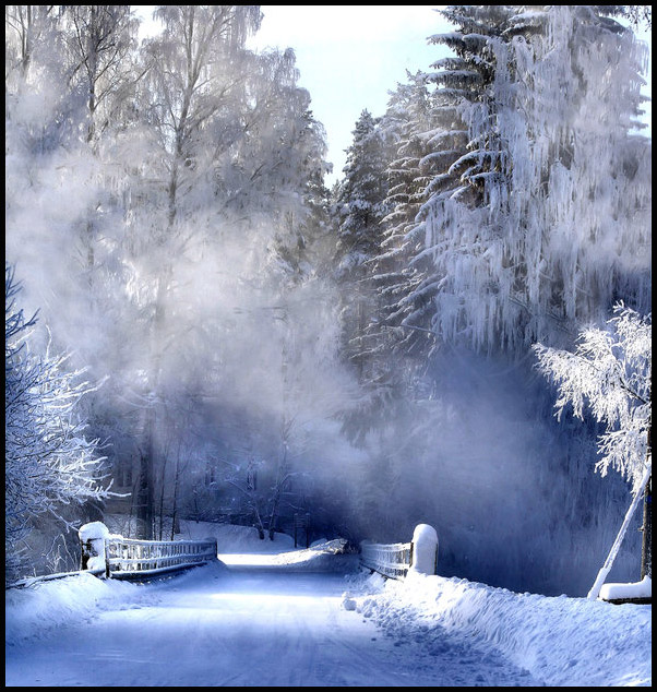 عکس های جدید از فصل زمستان