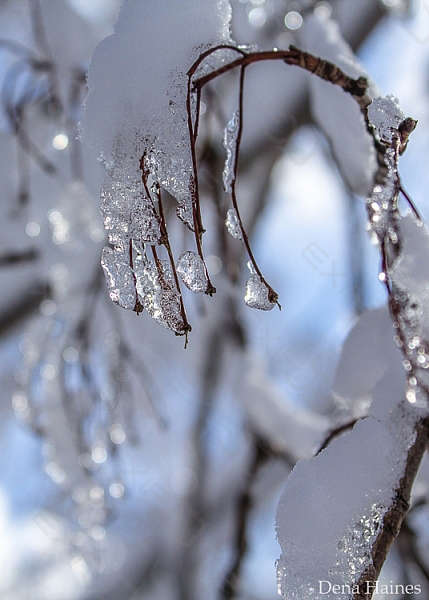عکس های ناب از فصل زمستان
