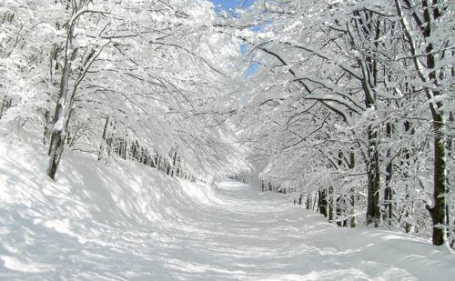 عکس از فصل زمستان با کیفیت بالا