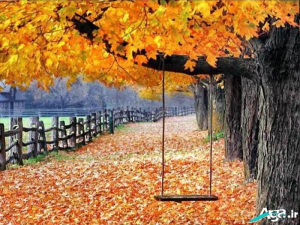 عکسهای فصل پاییز با کیفیت