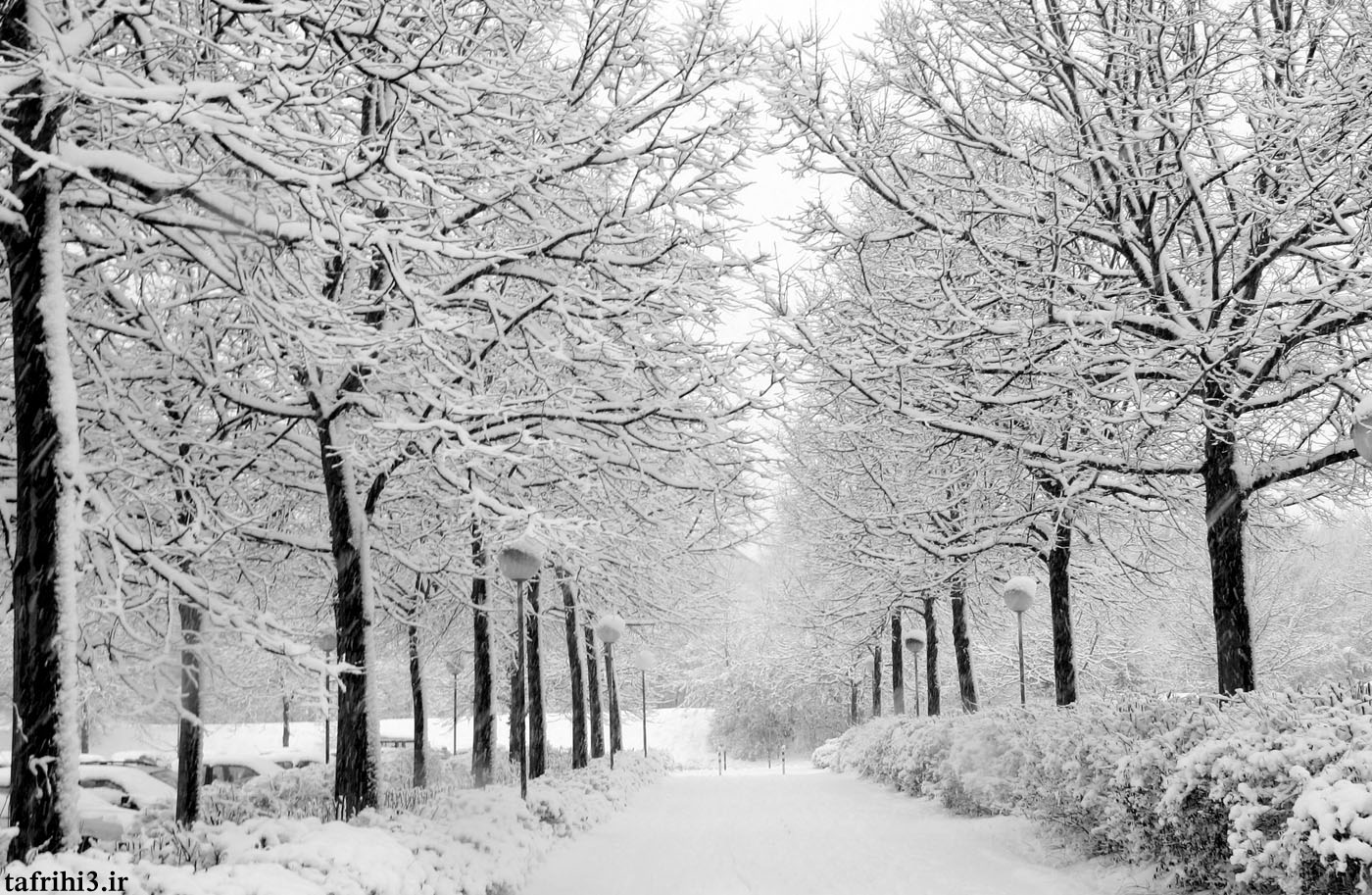 عکس های متحرک از فصل زمستان