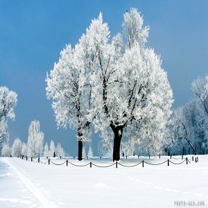 عکس فصل زمستان با کیفیت بالا