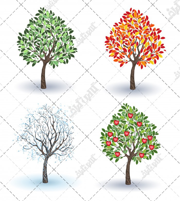 تصاویر چهار فصل یک درخت