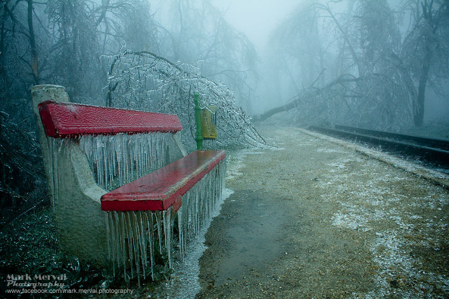 عکسهای هنری از فصل زمستان
