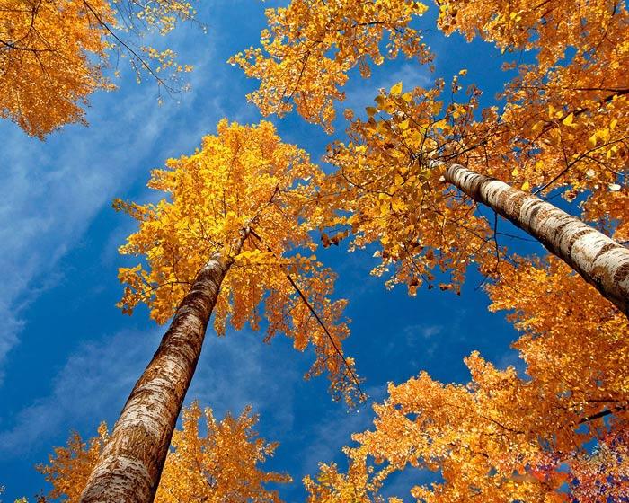 عکس های زیبای طبیعت فصل پاییز

