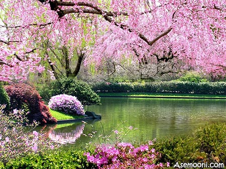 عکس طبیعت زیبا فصل بهار
