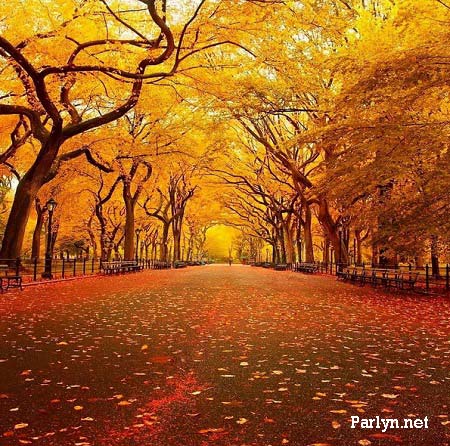 تصاویر زیبا درباره فصل پاییز
