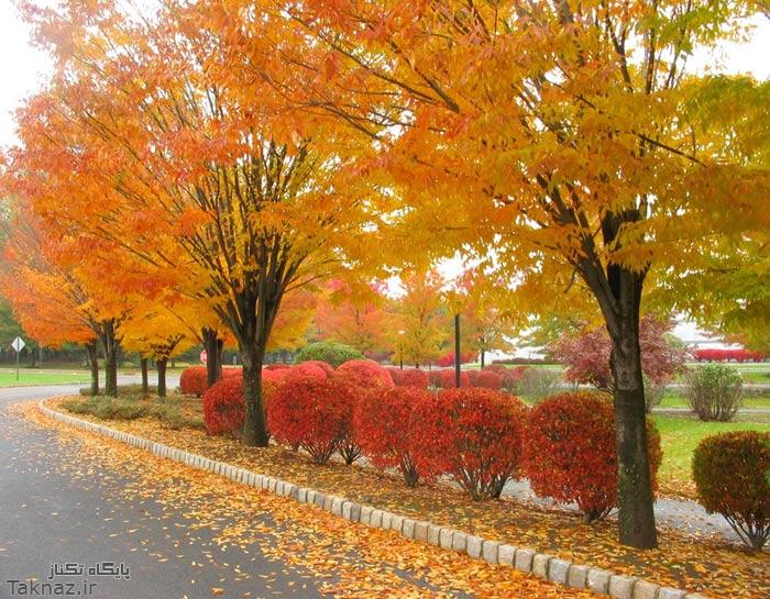 عکس های زیبای طبیعت فصل پاییز