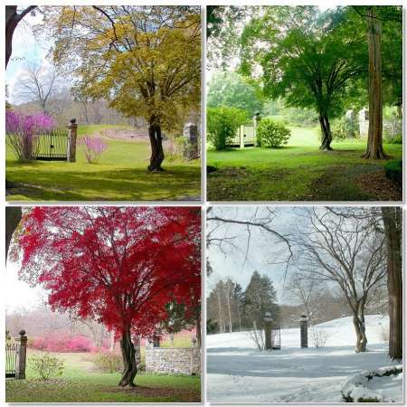 تصاویر فصل های مختلف