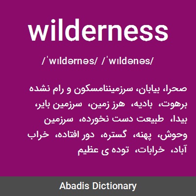 معنی کلمه wilderness
