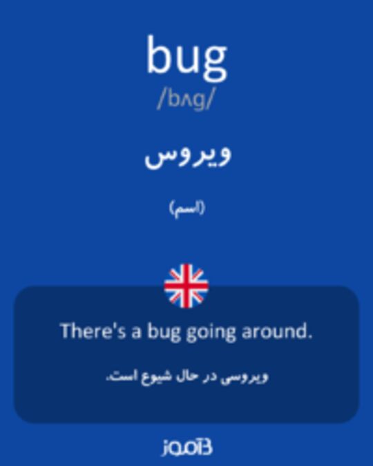 معنی کلمه ی bug
