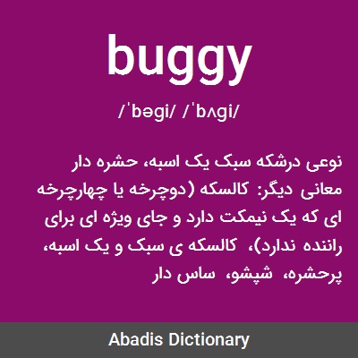 معنى كلمة buggy
