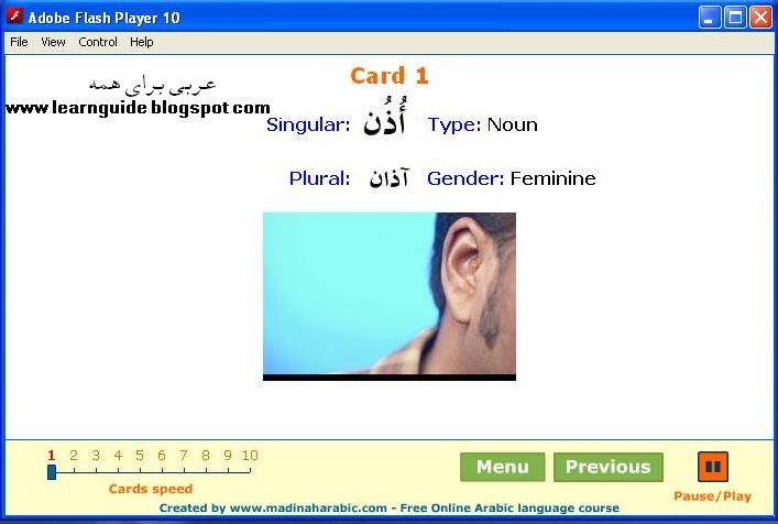 معنى كلمة singular بالعربي

