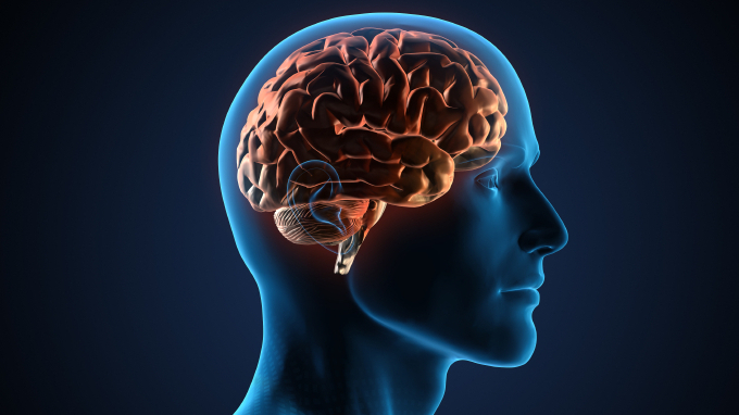 تومور مغزی چگونه تشخیص داده میشود
