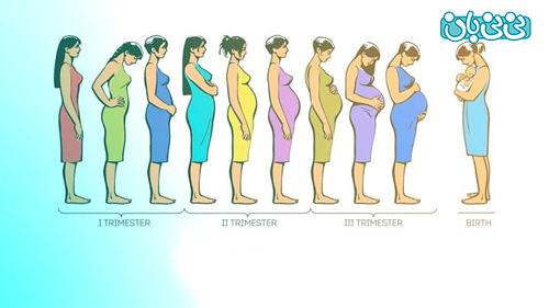 چگونه تشخیص دهیم هفته چندم بارداری هستیم

