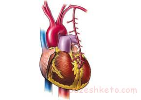 چگونه حمله قلبی رخ میدهد
