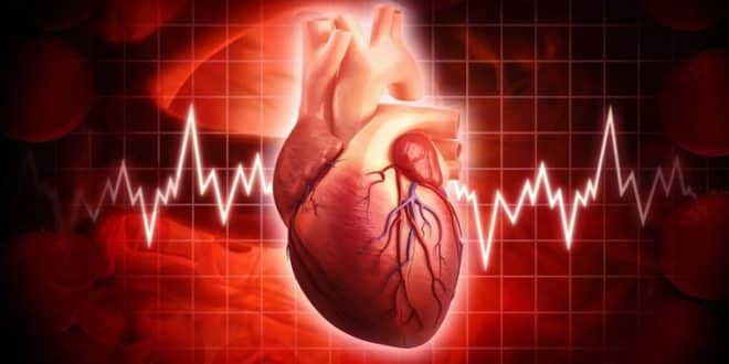 چگونه ضربان قلب را افزایش دهیم
