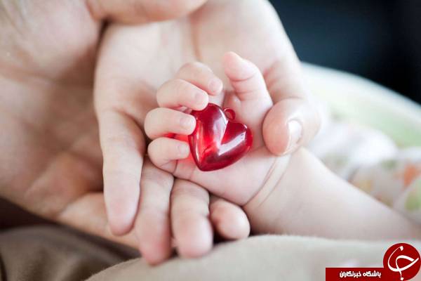 چگونه میتوان فهمید قلب جنین تشکیل شده
