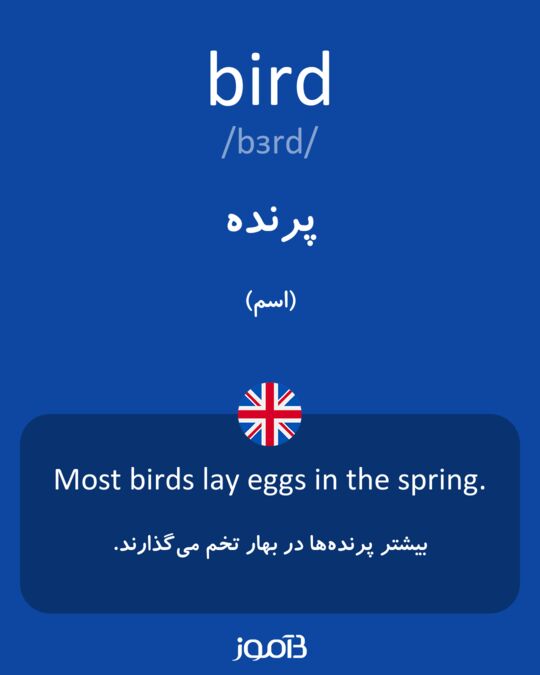 معنی کلمه پر پرنده به انگلیسی
