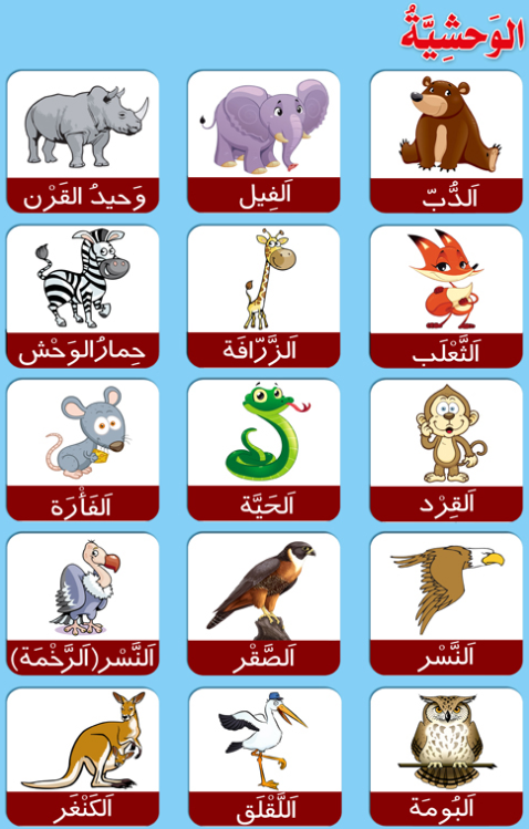 نام پرنده ها به زبان عربی
