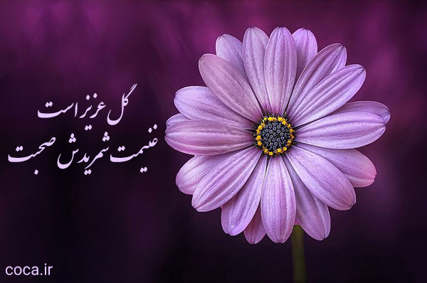 عکس گل زیبا با متن