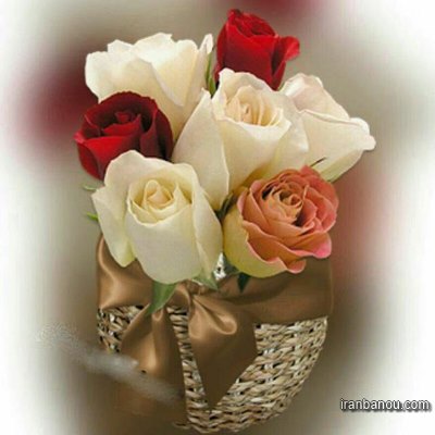 عکس گلهای زیبا برای پروفایل تلگرام