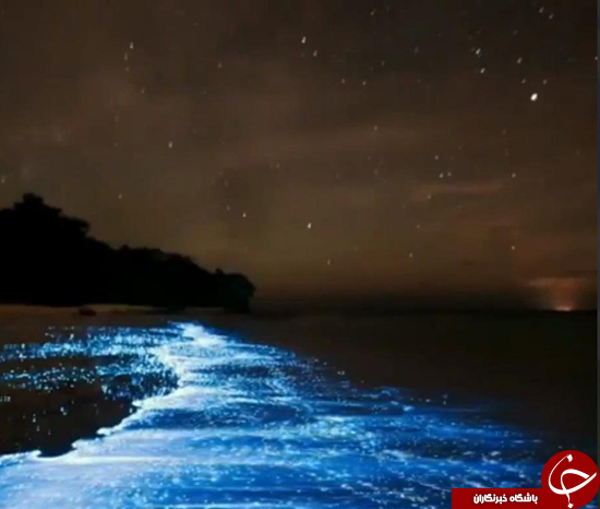 عکس از دریا در شب