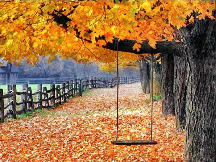 عکسهای زیبای پاییزی برای پروفایل