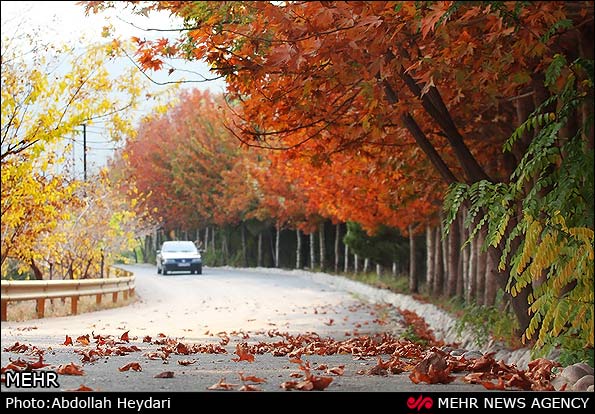 تصاویر زیبا از پاییز ایران