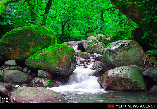 عکسهای زیبا از طبیعت مازندران