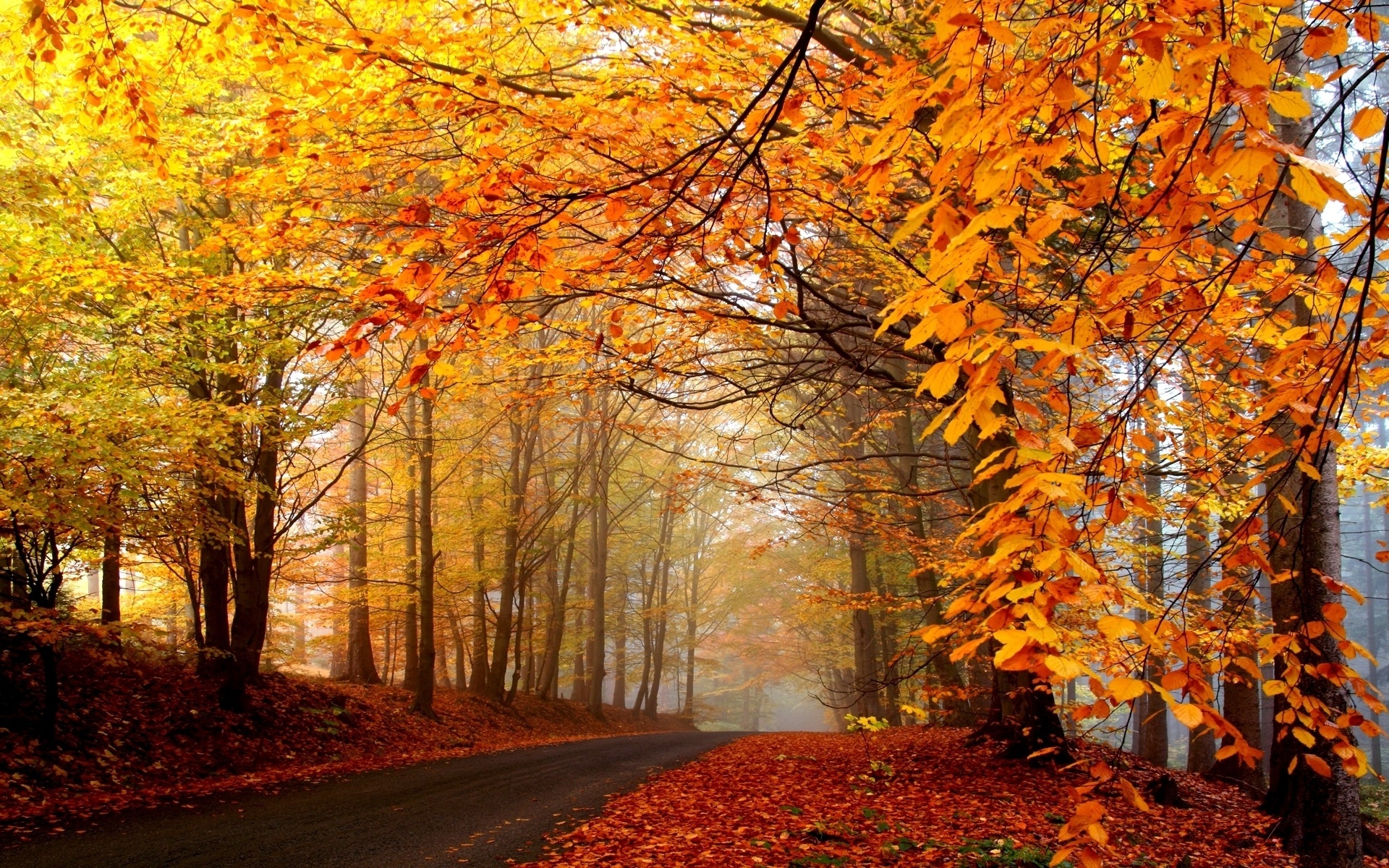 تصاویر زیبای پاییز برای پروفایل