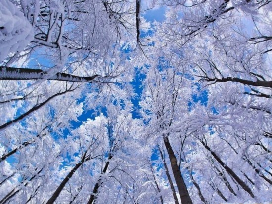 عکس زیبا از زمستان برای پروفایل