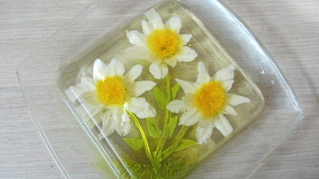 عکس ژله تزریقی گل سوزنی