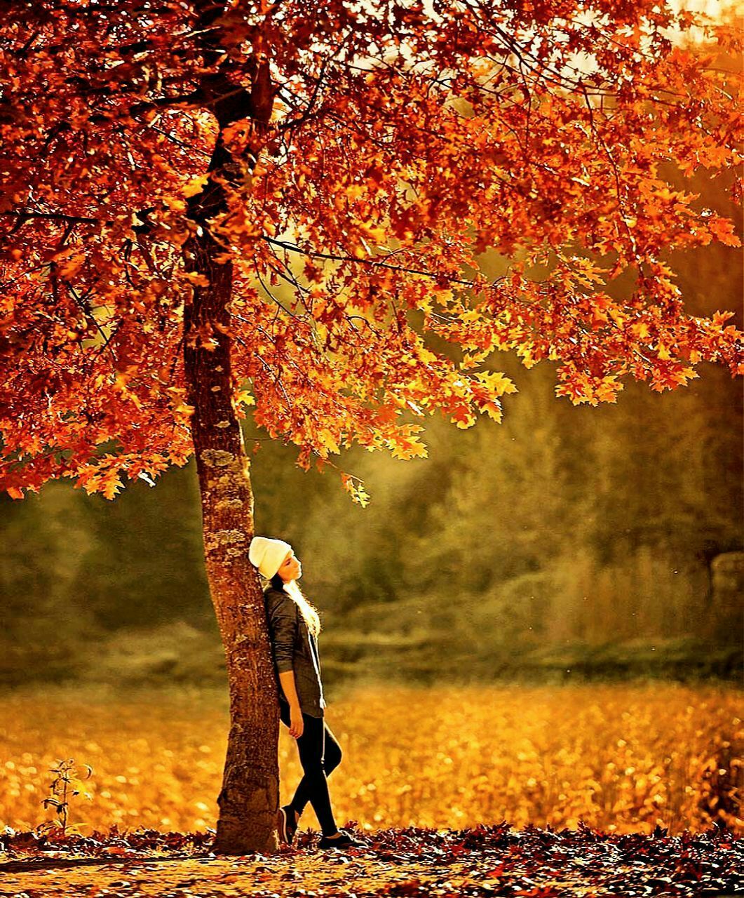 عکس زن تنها در پاییز