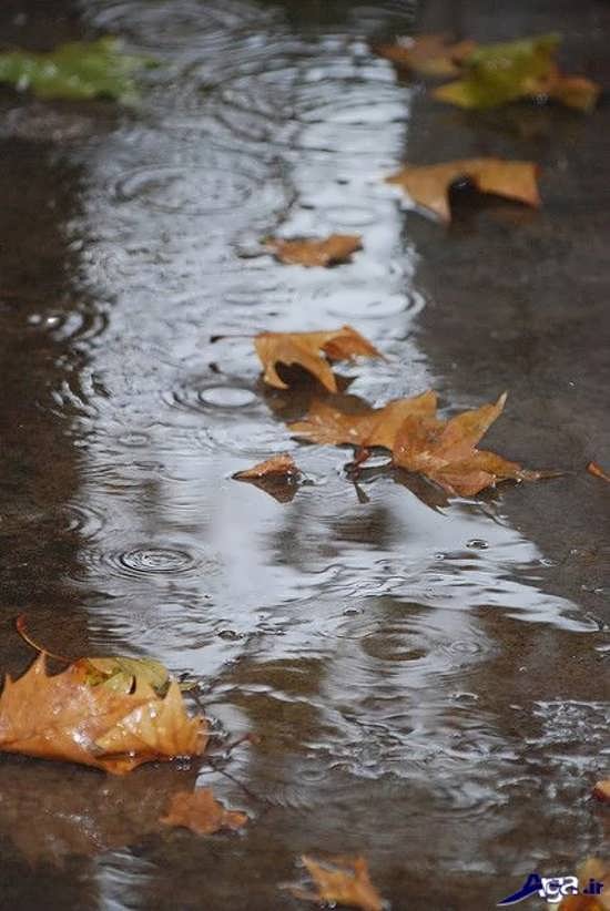عکس پاییزی باران