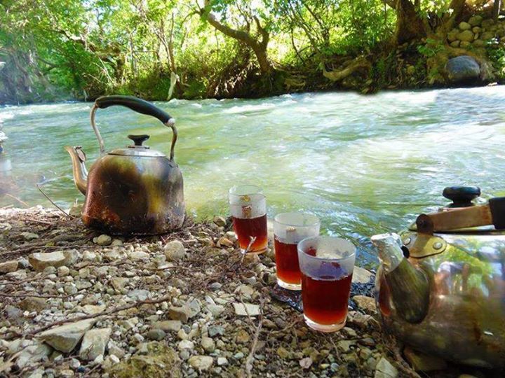 عکس لیوان چای در طبیعت