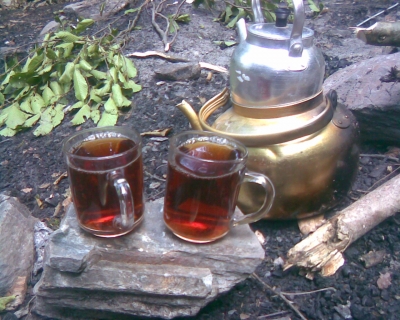 عکس چایی دو نفره