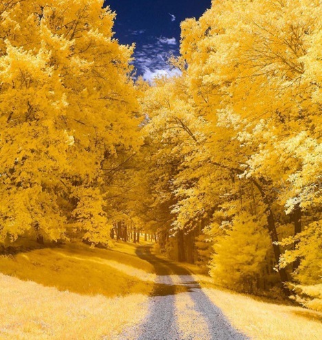 عکس جاده پاییزی زیبا